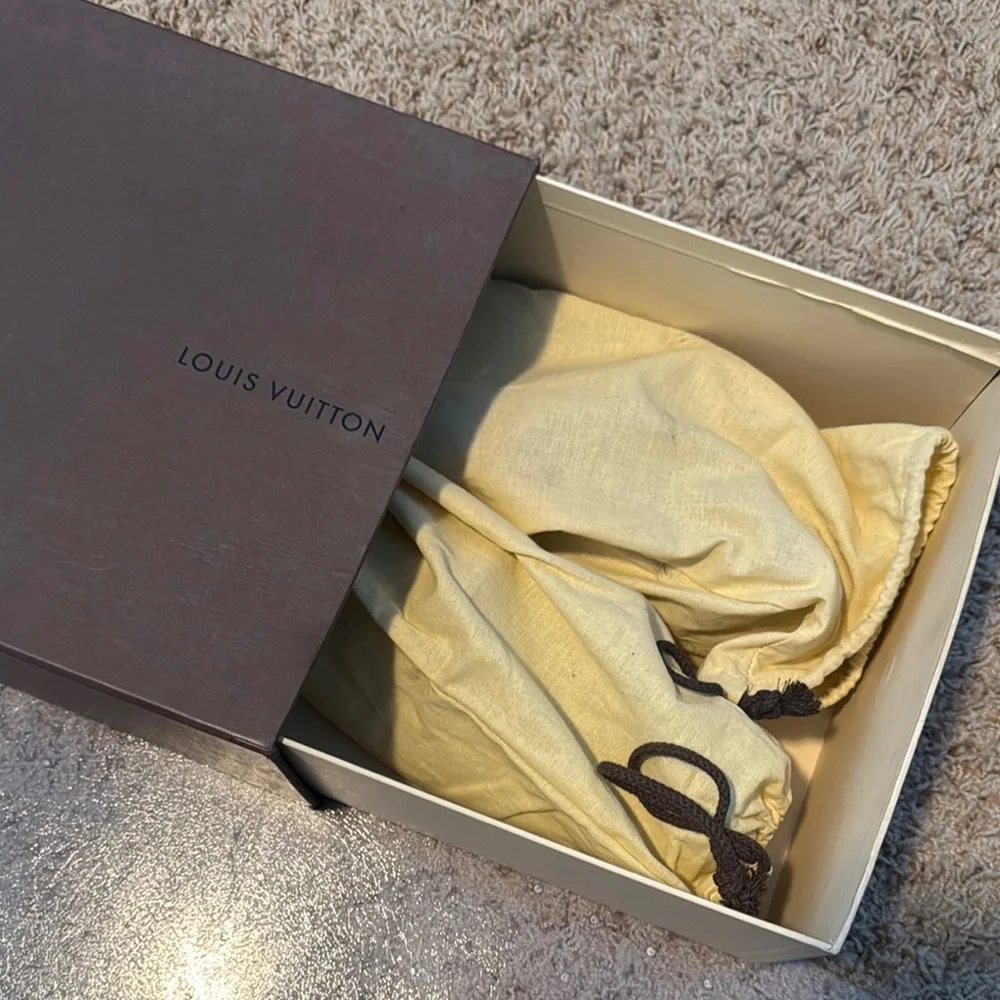 Louis Vuitton classic louis